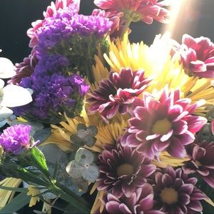 Meet your Posher, Dulce